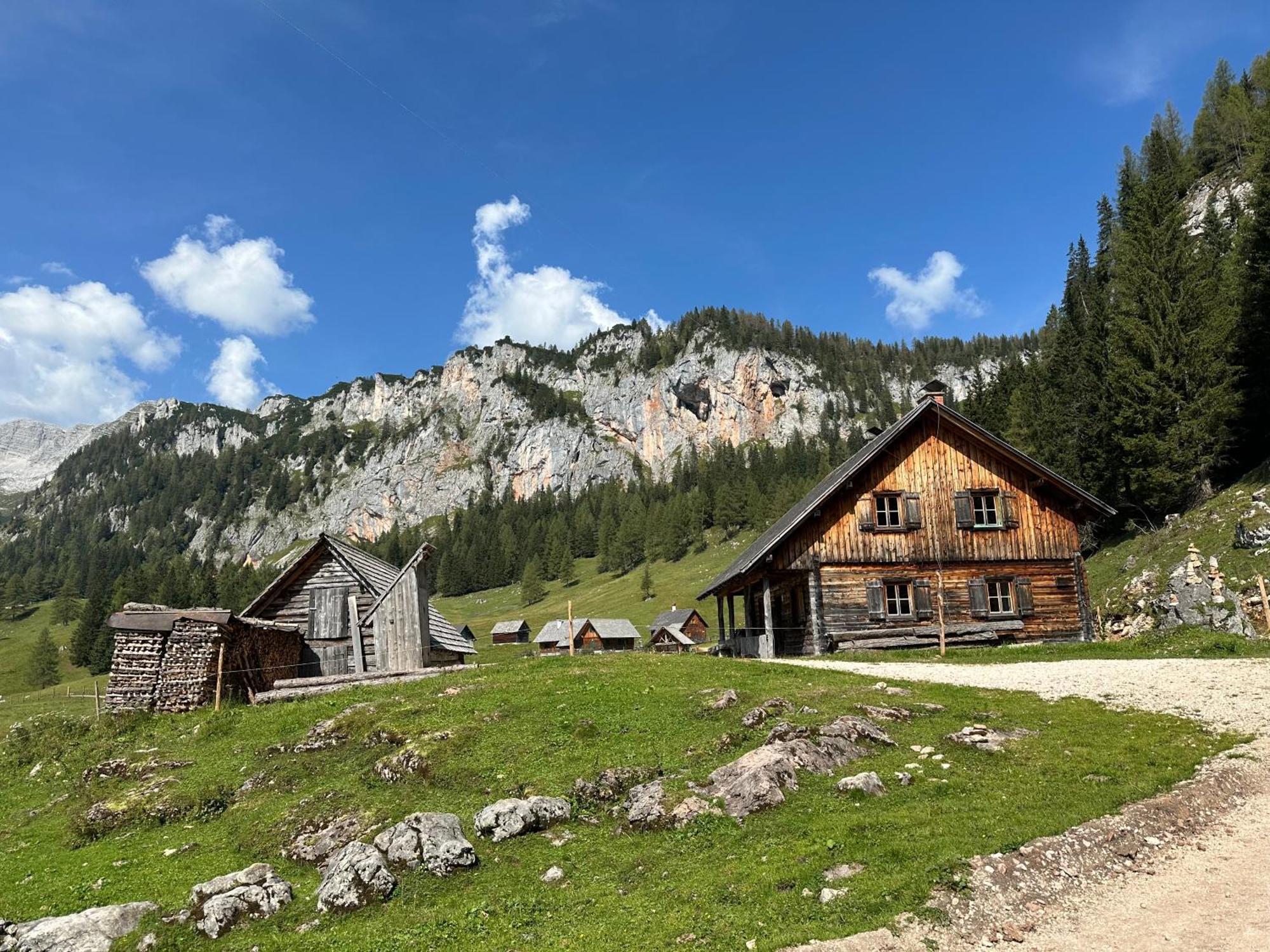 Pension Alpenhaus Vorderstoder Екстер'єр фото