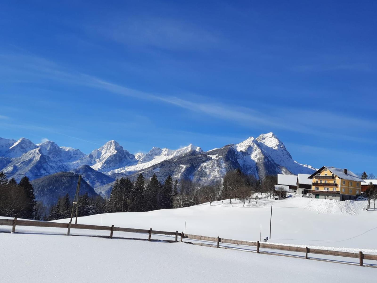 Pension Alpenhaus Vorderstoder Екстер'єр фото