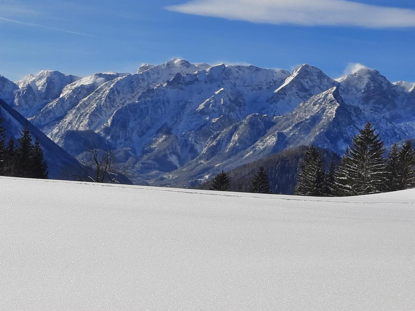 Pension Alpenhaus Vorderstoder Екстер'єр фото
