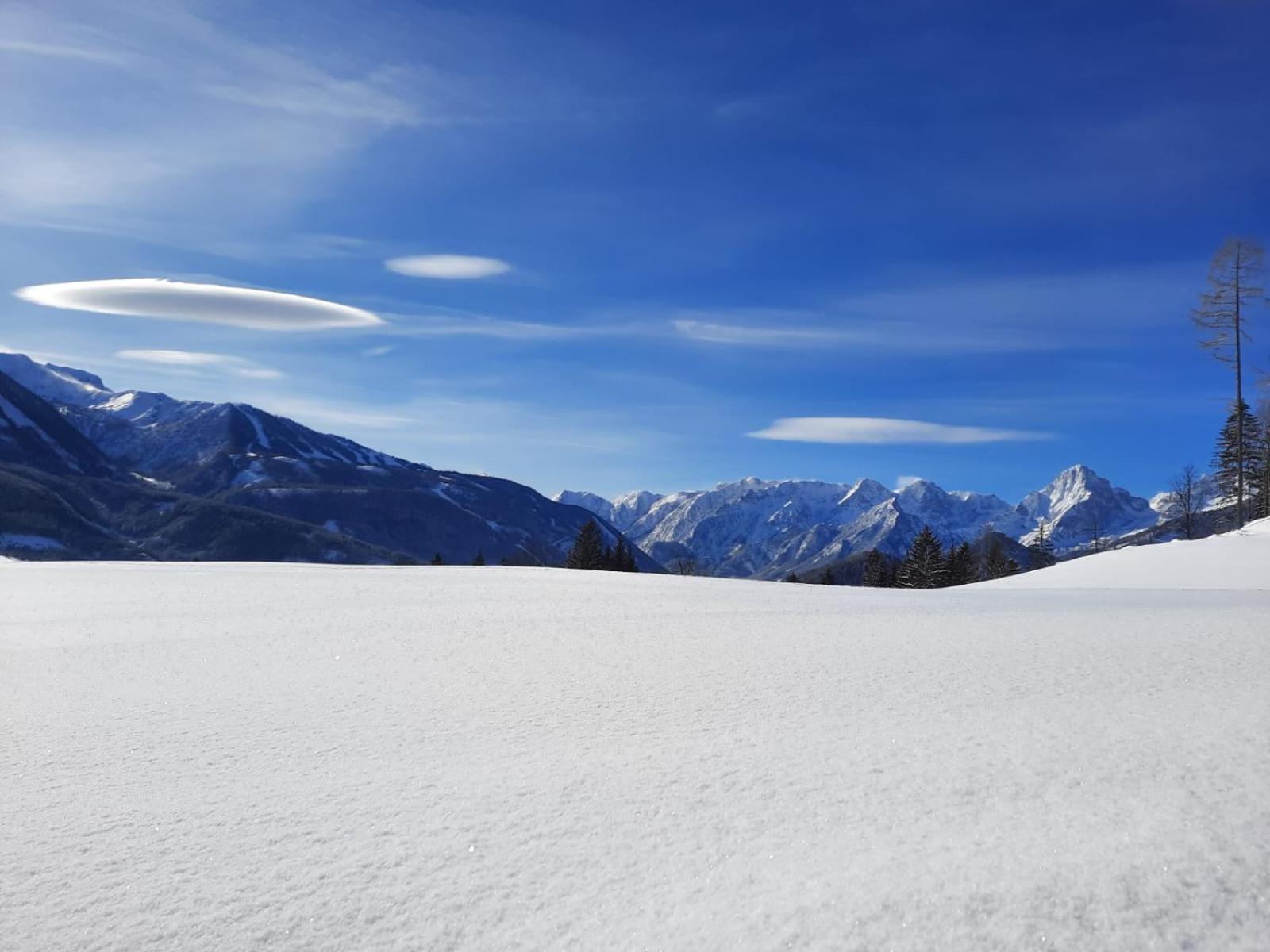Pension Alpenhaus Vorderstoder Екстер'єр фото