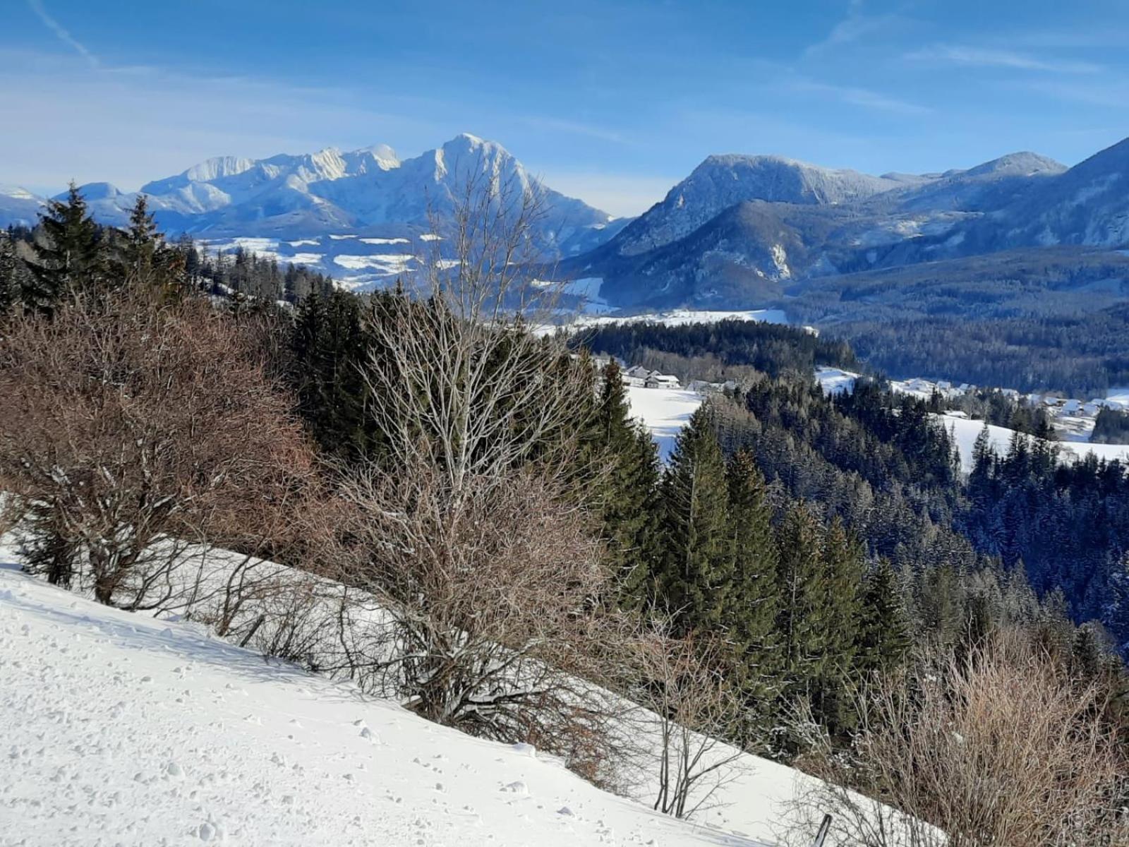 Pension Alpenhaus Vorderstoder Екстер'єр фото